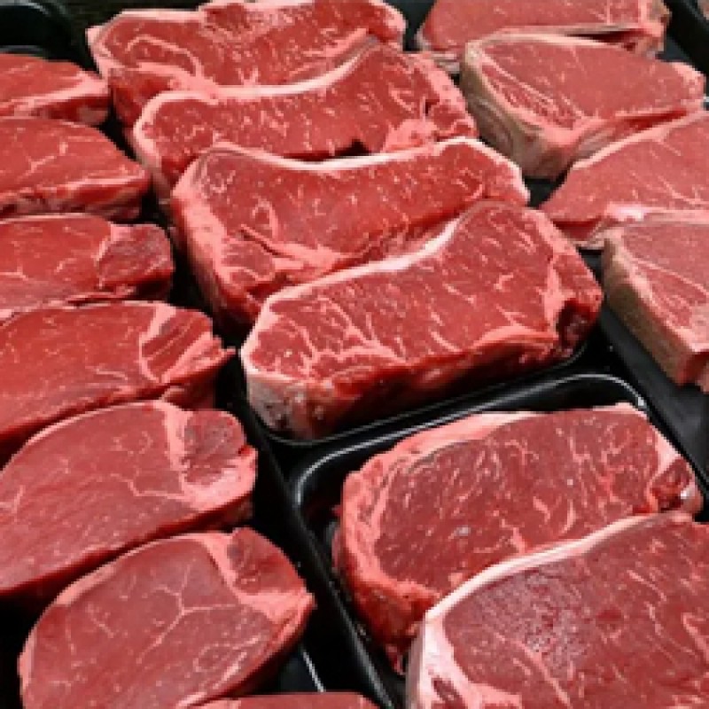 FROZEN BEEF HALAL & HACCP CERTIFIED from Pakistan